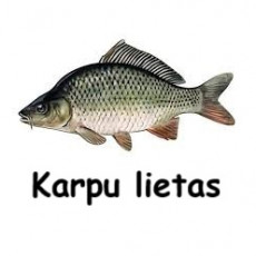 Karpkala ümbrised - pilt