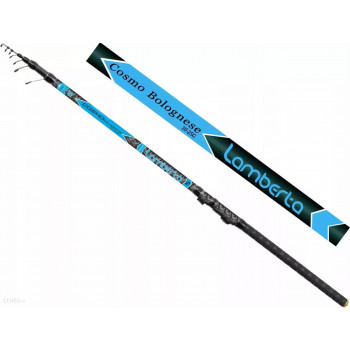 Fishing rod LAMBERTA COSMO BOLO 4.00m 10-25g, MISTRALL | RM-2141940 | RM-2141940