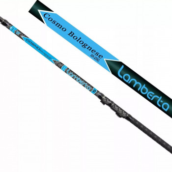 Fishing rod LAMBERTA COSMO BOLO 4.00m 10-25g, MISTRALL | RM-2141940