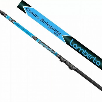 Fishing rod LAMBERTA COSMO BOLO 4.00m 10-25g, MISTRALL | RM-2141940