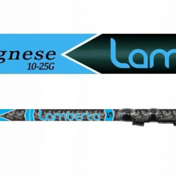 Fishing rod LAMBERTA COSMO BOLO 4.00m 10-25g, MISTRALL | RM-2141940