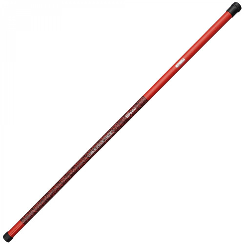 Fishing set Mitchell CATCH PRO Pole 5.00m