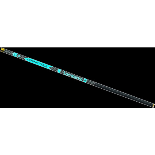 Bezriņķu makšķere LAMBERTA COSMO POLE 6,00m, 10-25g | RM-2141860